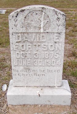 David E Fortson 