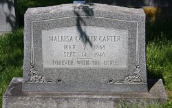 Mallisa <I>Cooter</I> Carter 