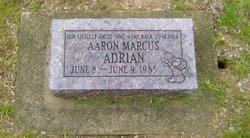 Aaron Marcus Adrian 