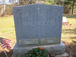 Anthony J Magliocco 