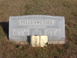 Agnes J. <I>Mecklenburg</I> Pellenwessel 