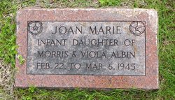 Joan Marie Albin 