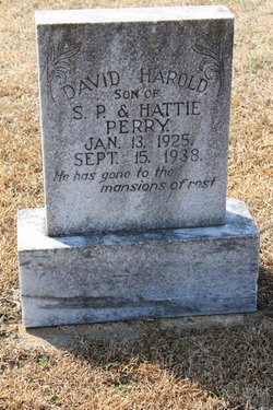 David Harold Perry 