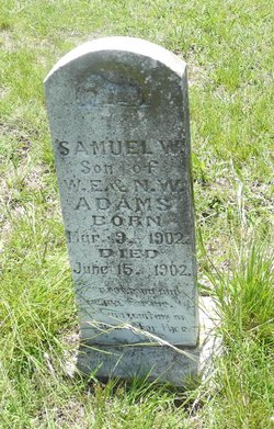 Samuel W Adams 