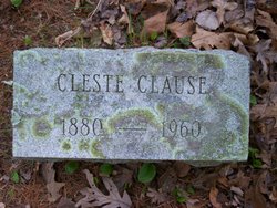 Cleste Clause 
