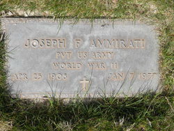 Joseph F Ammirati 