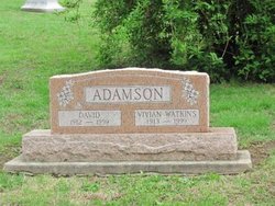 David Adamson 