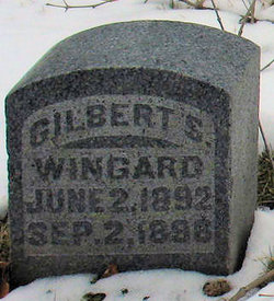 Gilbert S Wingard 