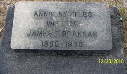 Missouri Ann “Annie” <I>Nettles</I> Brannan 