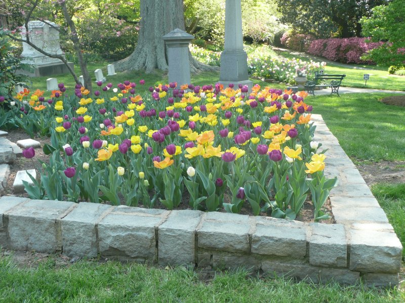 Memorial Garden In Concord North Carolina Find A Grave Cemetery