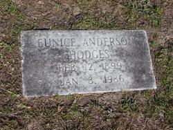 Nicey Eunice <I>Anderson</I> Hodges 