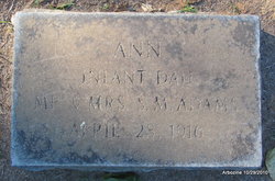 Ann Adams 