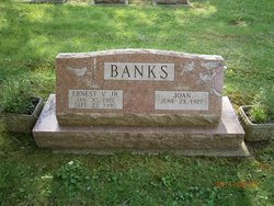 Ernest V Banks Jr.