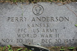 Perry Anderson 
