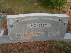 Andrew J Moseley 