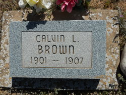 Calvin L. Brown 