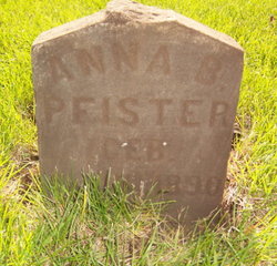 Anna B Pfister 