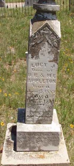 Lucy J Appleton 