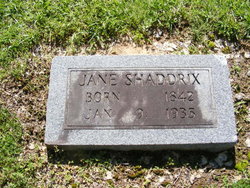 Jane C. <I>Waddell</I> Speight Shaddrix 