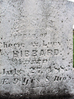 Daisy D. Hibbard 