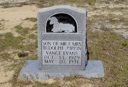 Vance Evans Pippin 
