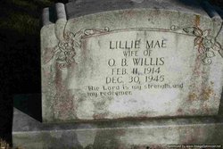 Lillie Mae <I>Bradford</I> Willis 