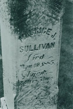 Maurice J Sullivan 