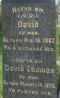 David Evans 