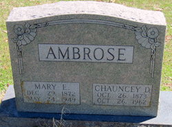 Mary Elizabeth <I>Kantz</I> Ambrose 