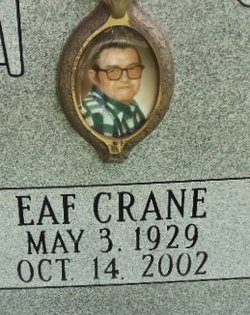Eaf Crane 