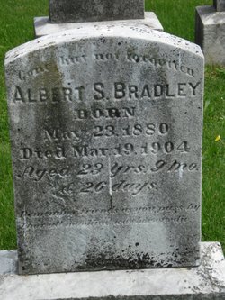 Albert S Bradley 