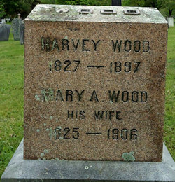 Harvey Wood 