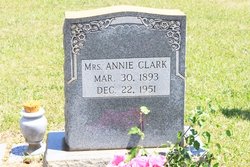 Annie Mae Hester <I>Hendrix</I> Clark 
