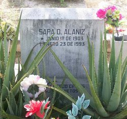 Sara D. Alaniz 