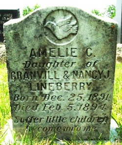 Amelia C Lineberry 