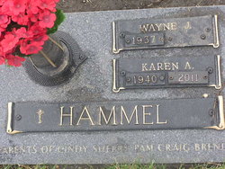 Karen Anne <I>Schulte</I> Hammel 