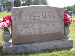 Annie Mae <I>Brundige</I> Freeman 