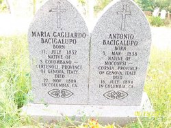 Maria <I>Gagliardo</I> Bacigalupo 