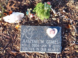 Aaliyah M Gomes 
