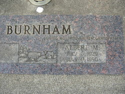 Albert Milton Burnham 