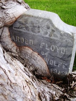 Harold Floyd Wolfe 