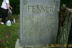 Augustus Roses Fenner 