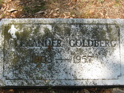 Alexander Goldberg 