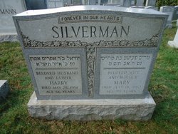 Harry Silverman 