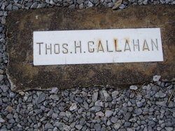 Thomas Harris Callahan Jr.