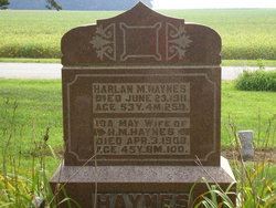 Harlan M Haynes 