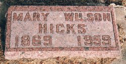 Mary Francis <I>Wilson</I> Hicks 