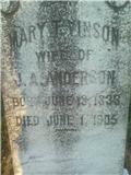 Mary T. <I>Vinson</I> Anderson 