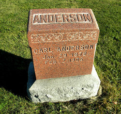 Carl Anderson 