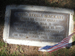 David Steele MacKaye 